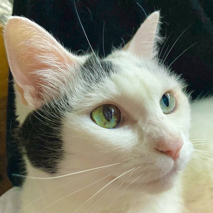 43a945d8 093c 48cc 8782 e4812c5587c6 1663305268318