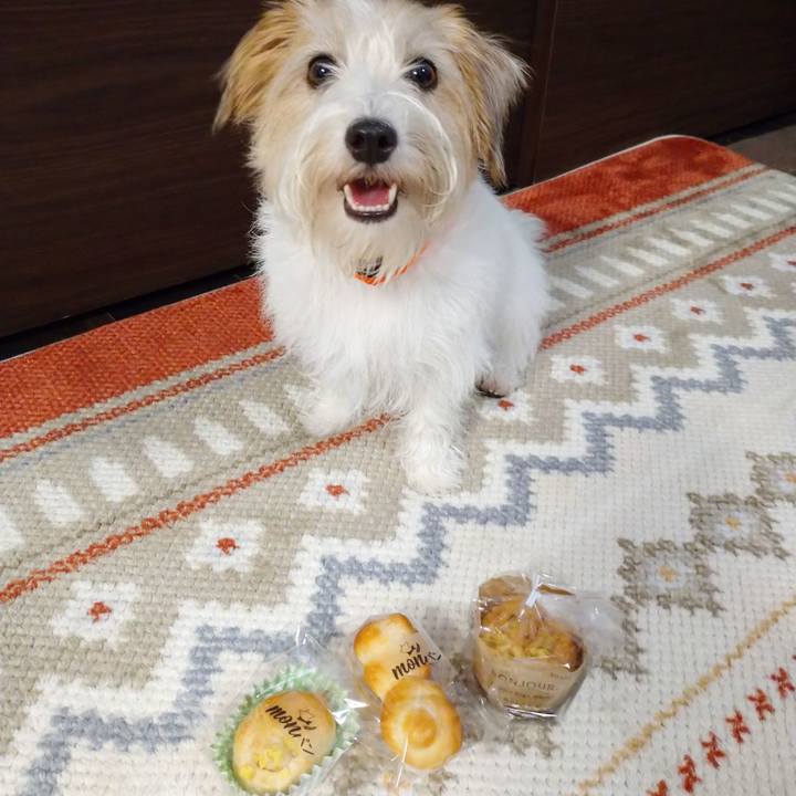 43a96ca2 00ac 493b 9896 db5fd9834d2e 1756554530548