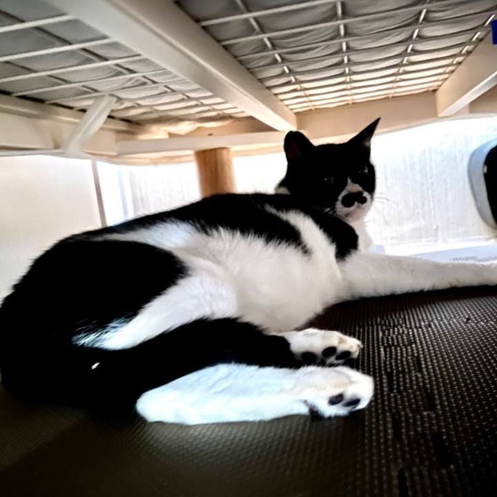 43a96d4e dd81 4075 becf 8b7b59b27ffe 1693208189795