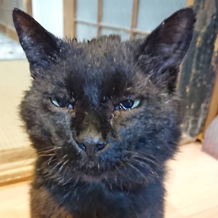 43a9ad44 0f36 45ed a836 2825c212f581 1621865834173