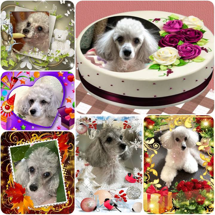 43a9d4ad cb21 4d2e 977c ead0dfe1ba80 1604675462090