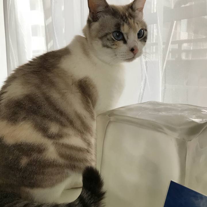 43a9df67 bf9f 4d0a 82d1 0a2011568298 1516163208359