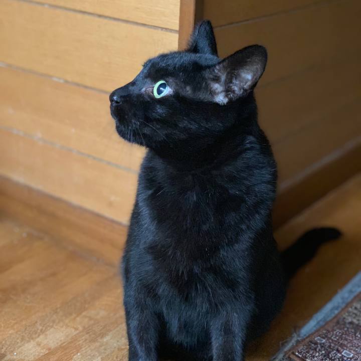 43aa04b2 c12e 495c a48d 9686bbf48a6b 1538702227189