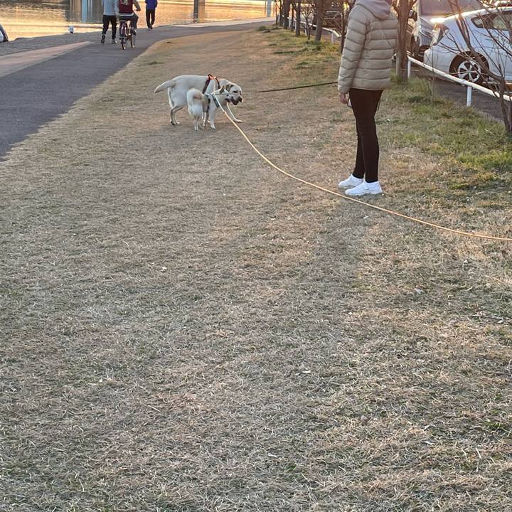 43aa0ca4 d04c 43f3 95ed fa50595c3686 1678184576381