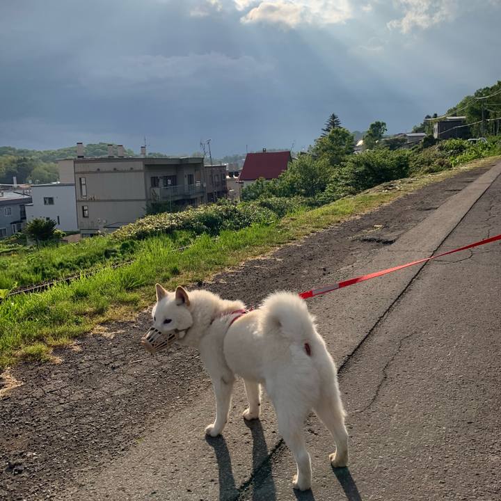 43aa5a6c 127e 4eac a8c8 22fbc6f93c39 1591048768943