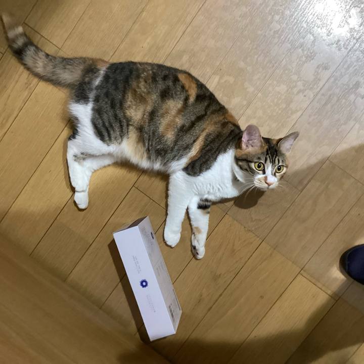 43aa6ee6 f567 482e 852d 67ef50f092b6 1655178464076