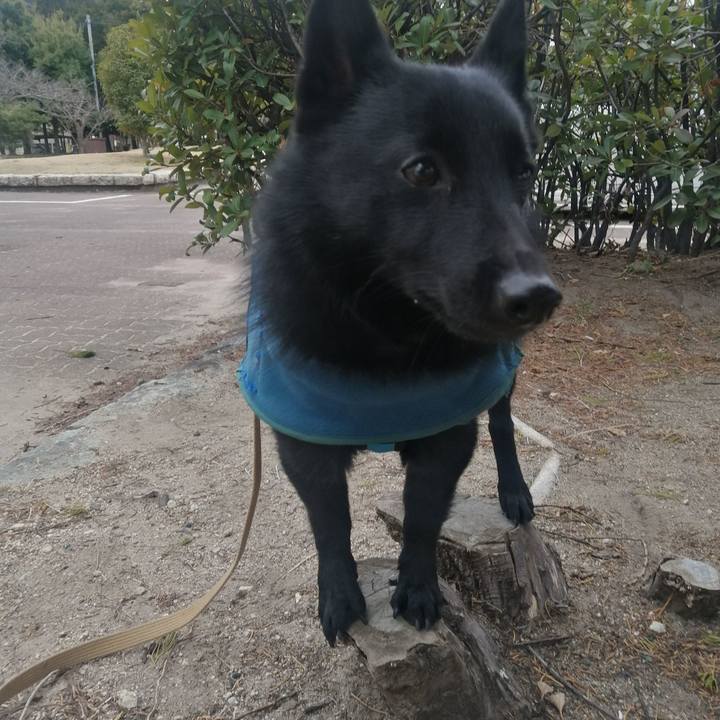 43aa7b4e efb6 4baa 88c8 0c146f990407 1642898040506