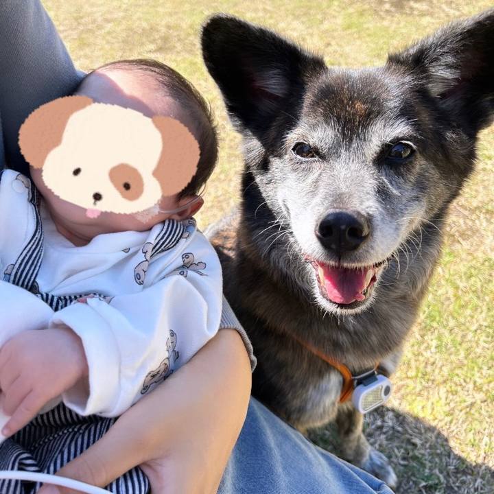 43aa7e31 1668 4589 88f9 734970029c8d 1697962506971