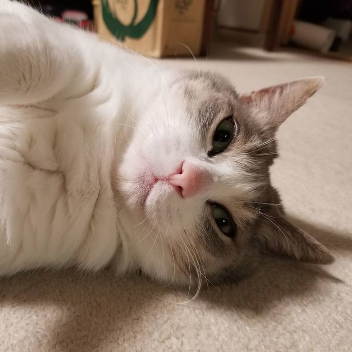 43aa991f 4ebb 439c 8f9c e3c3612c60c0 1643633490664