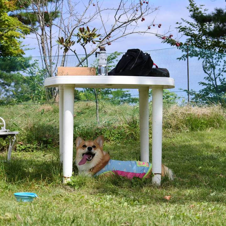 43aab2c6 68a0 4bda 9ae5 db90a9b5dd3a 1568543216592