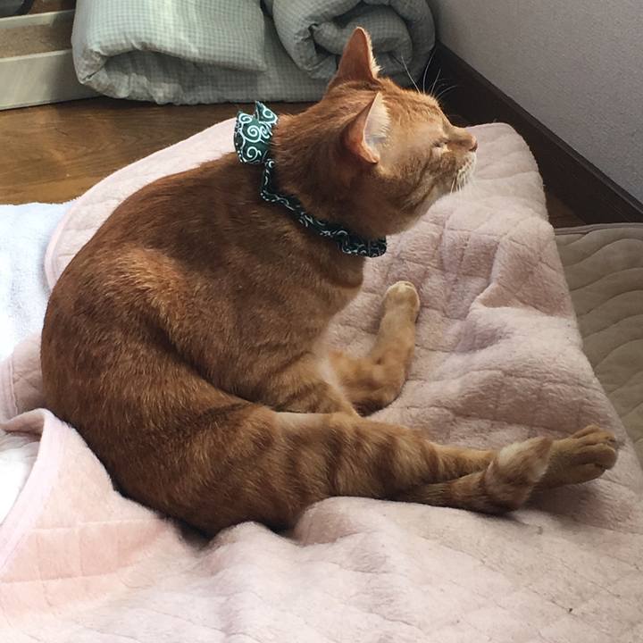 43aadcd6 b818 492e bbb5 ac729e8f94b0 1549672440985