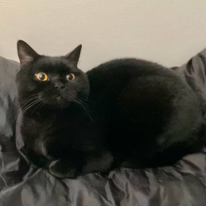 43aadd77 0e66 489c 8437 d245bc01a47d 1651362454557