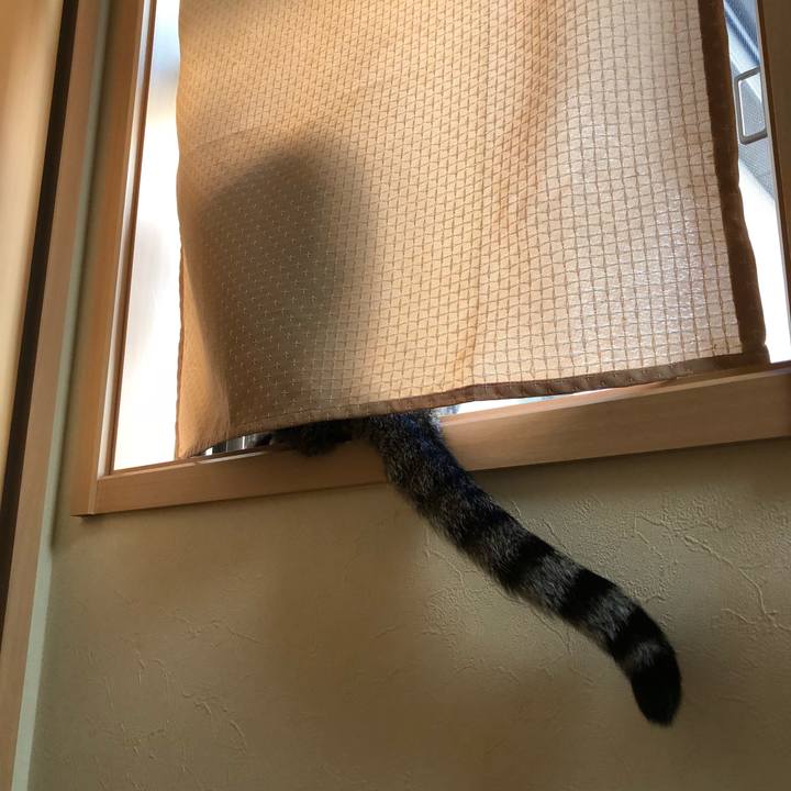 43aaf965 3451 4e97 a313 5f78afcfe366 1516072106586