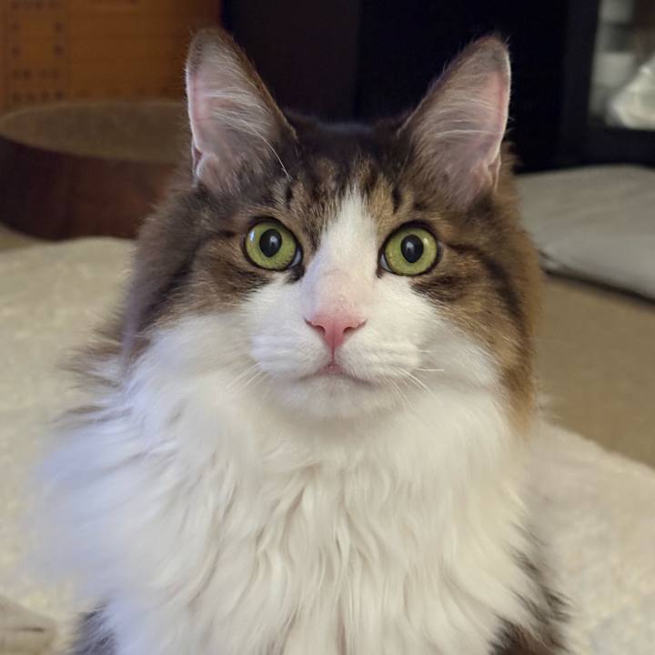 43ab5ec2 bc76 4060 9adb cd8ad554638e 1768437384346