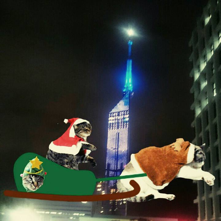 43ab7873 d318 4ca5 a58c da4e9d765491 1512223292878