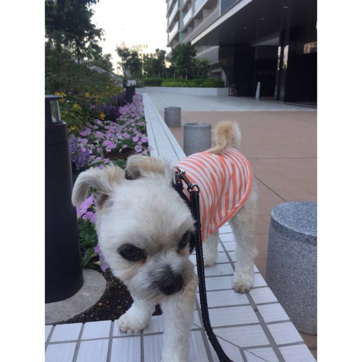 43ab8933 a9e4 491a be51 4a52a5328152 1533556151178