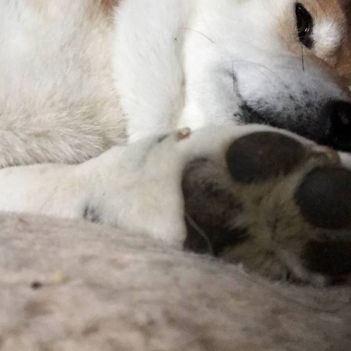 43ab8bdc 7dfe 4f81 a306 0d87371be2a6 1510292475921