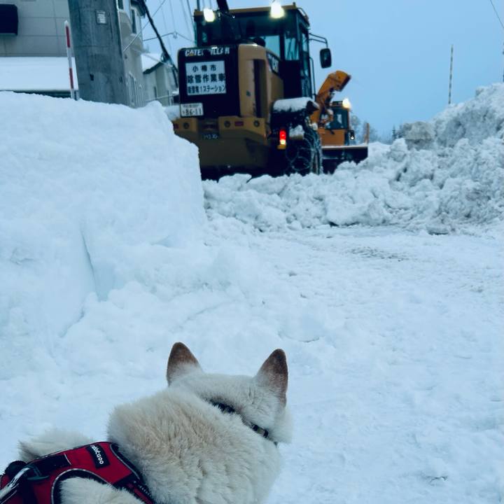 43ab9f98 4273 4477 bf83 9822ae75da15 1706396897328