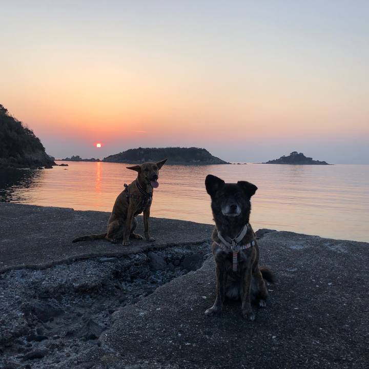 43aba0a1 2363 4749 be1e 77a0f3796367 1585145224586