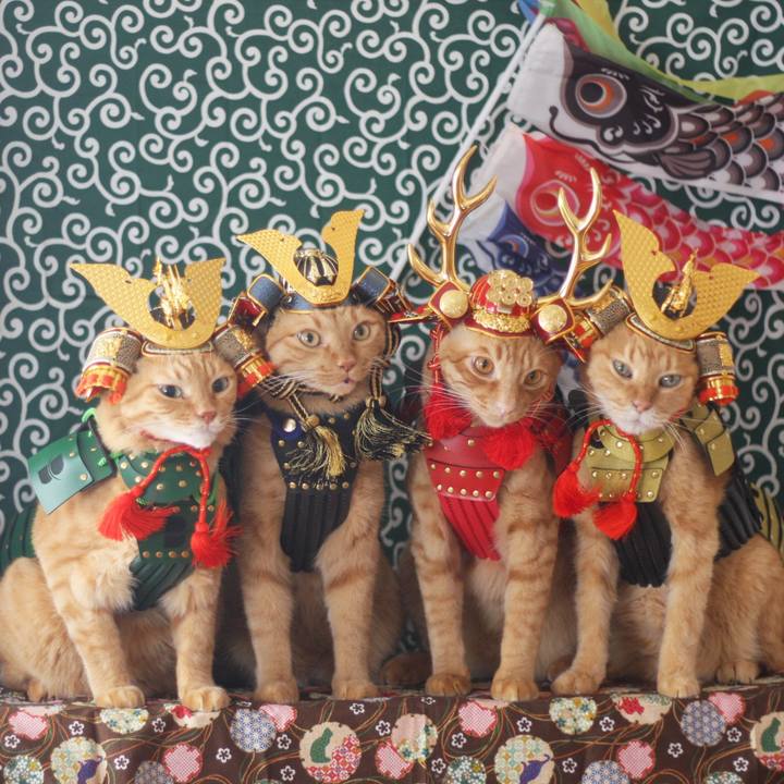 43abb4a7 2c16 4a3c 86e2 9914f063c1bb 1714801498202