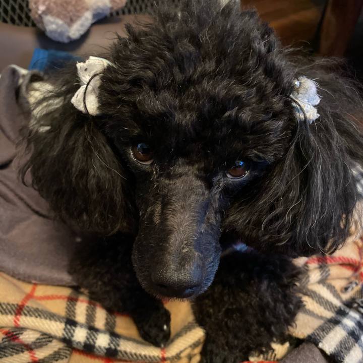 43ac1299 03c9 4b10 bce1 8729cfe7afb8 1612743742084