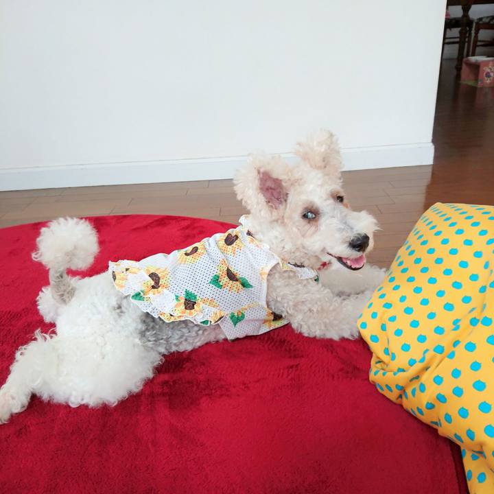 43ac1944 92c8 4bd4 8080 28aba972cd0e 1537243253365