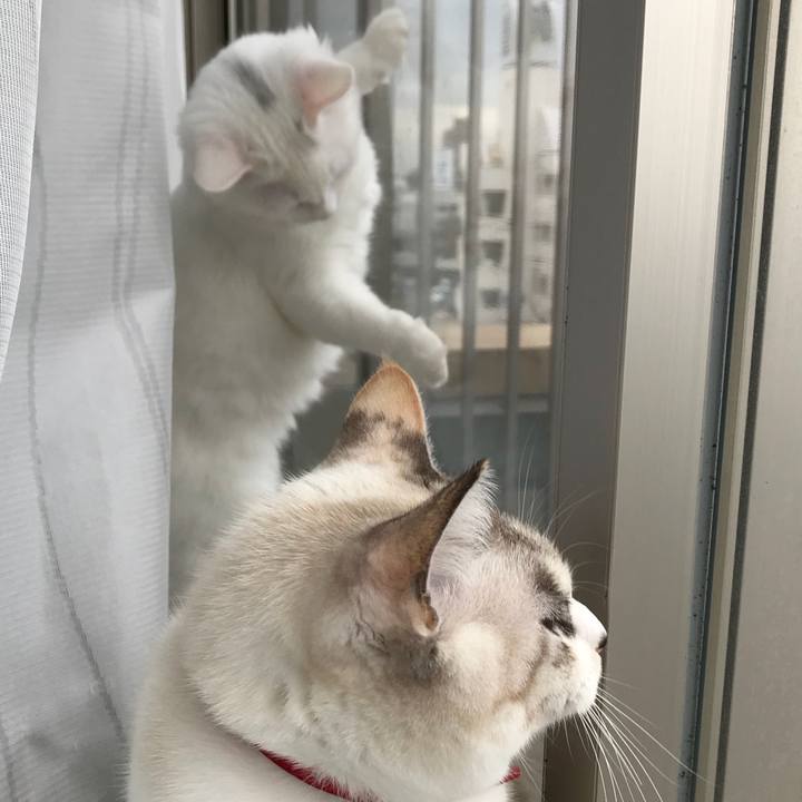 43ac4197 c11d 4981 b31c 3d315d737fa2 1511319087794