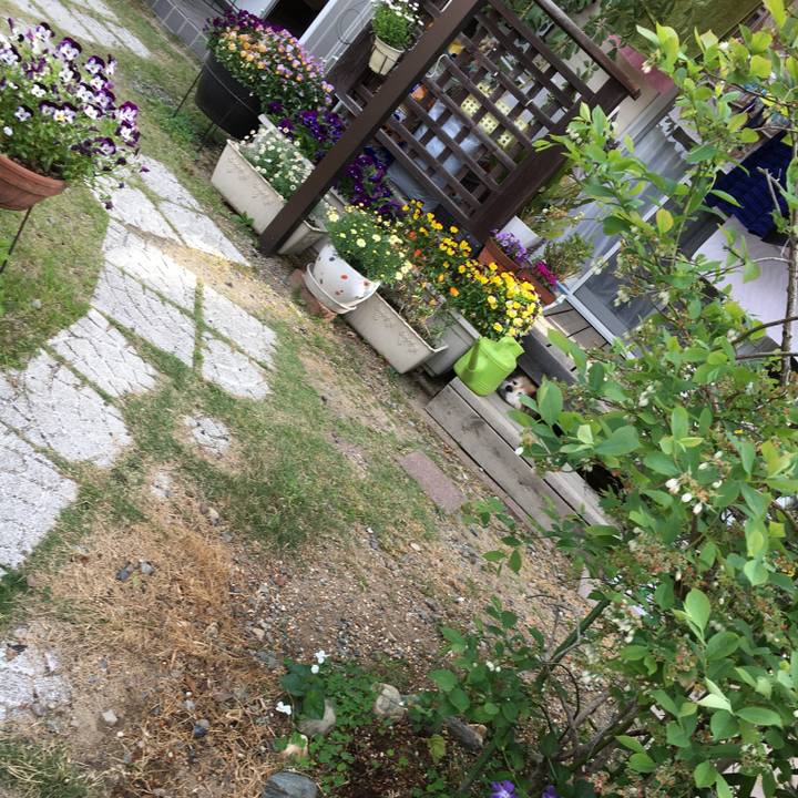 43ac8a17 78d2 40e9 9434 24446bdc1ec7 1568040182869