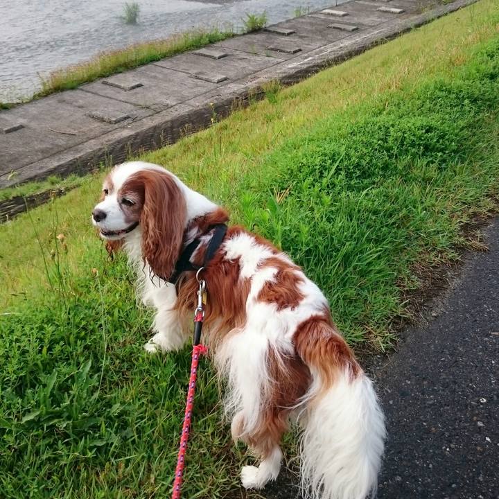 43ac8bb2 06fe 4574 a91b 0fa6f9e28379 1563399915524