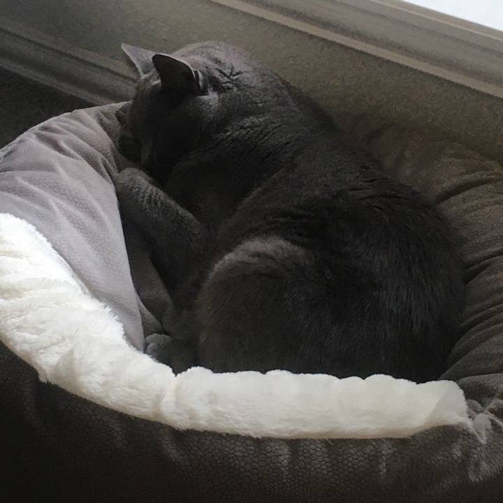 43acd81d 8c03 4627 81f8 09e293f936ab 1645458471138