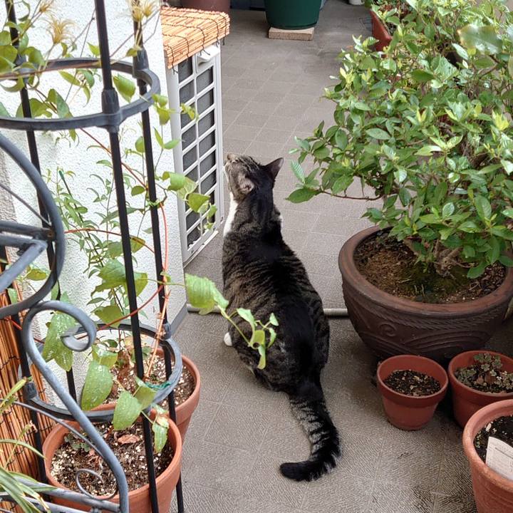 43acdc96 e207 4418 820e 3f5c11bad94b 1724809483148