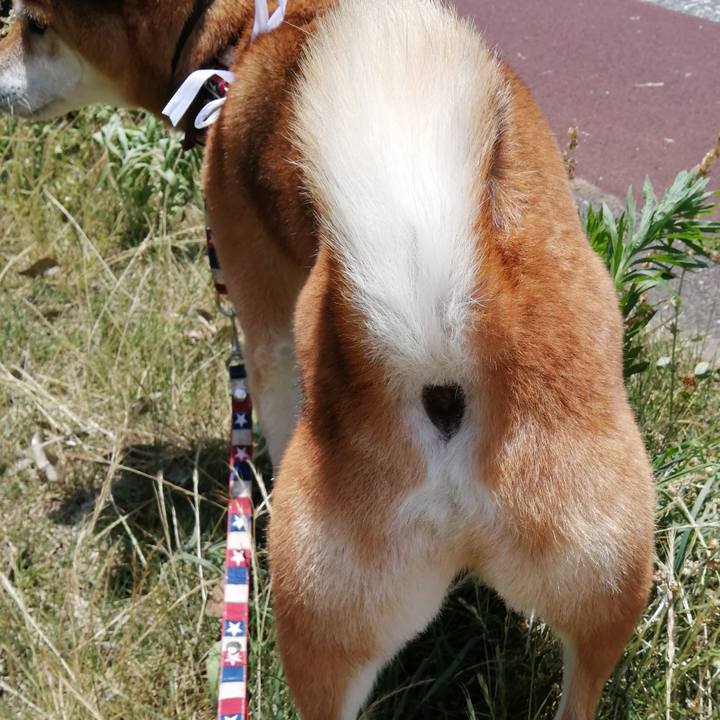 43ad123b f9b9 45e3 a7e2 3d0212b4af52 1656562004872