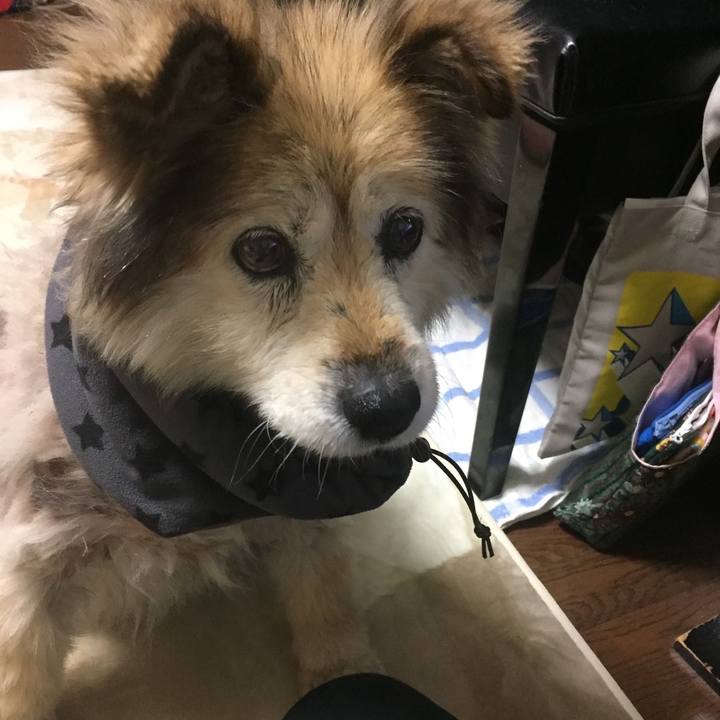 43ad392b 20a4 4ad1 ae9f 0d0d6c1d17c6 1666825523852