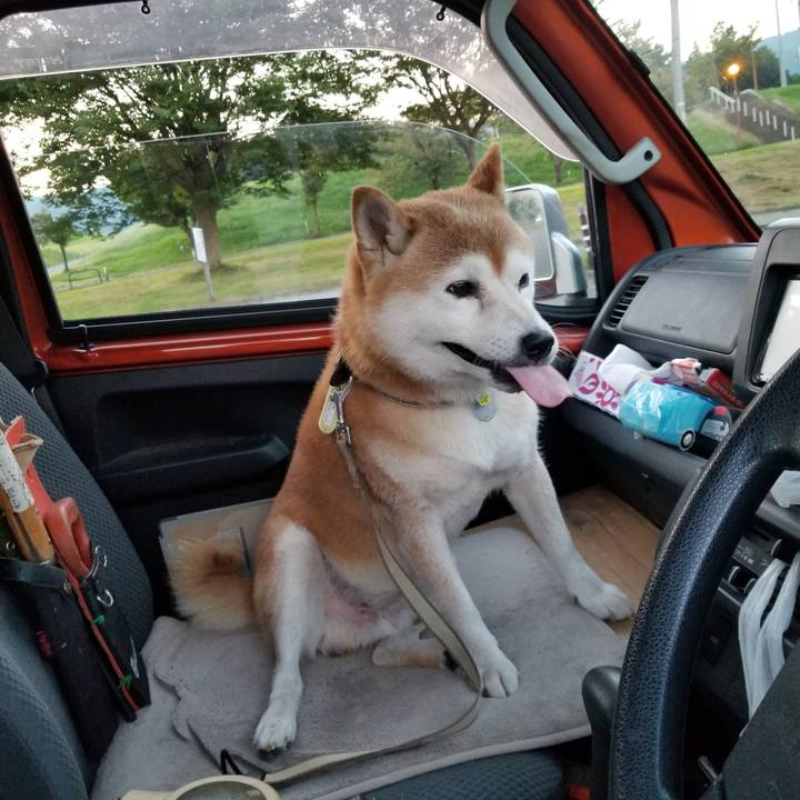 43ad488b 8c2f 4940 be72 6f846ad14fa0 1662886454479