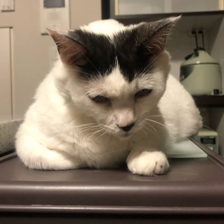 43ad4c4f 959a 4524 a8e1 bbb5c59b4645 1593091178103