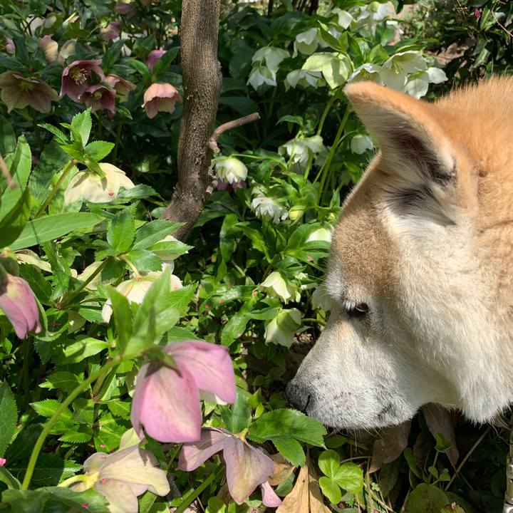 43adbee1 f9ca 4274 85ed 6e7ed1c8e79b 1553907211042