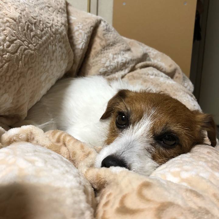 43addd2a db46 4274 b74e 1a278c14d1a7 1547380520276