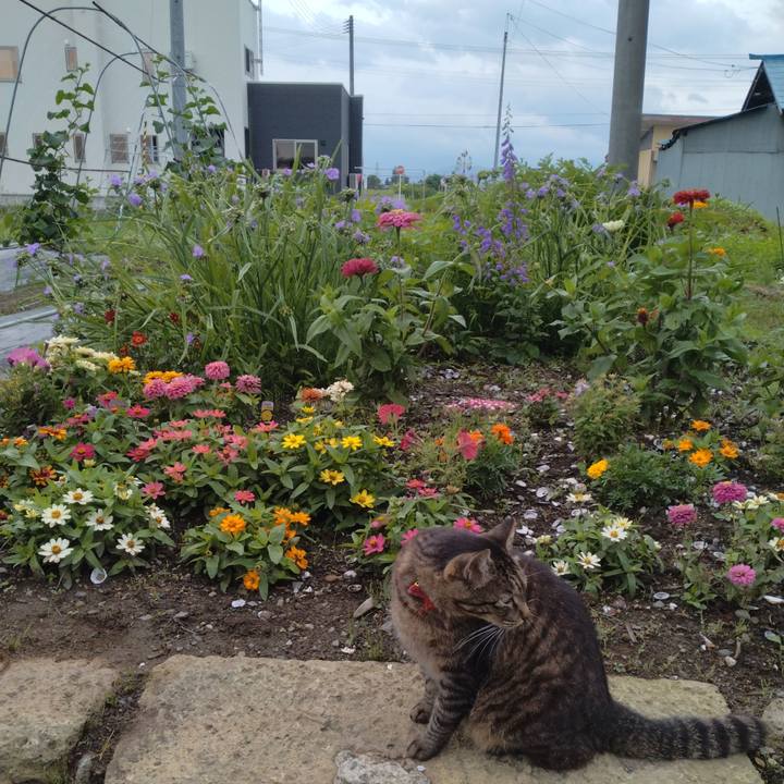 43ae0a50 3615 4690 9940 8e1def45e124 1688337300354