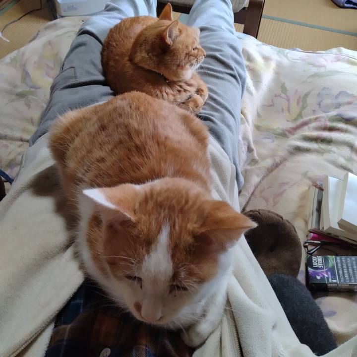 43ae0c76 8a45 459a 9b92 b74740649480 1734760367631