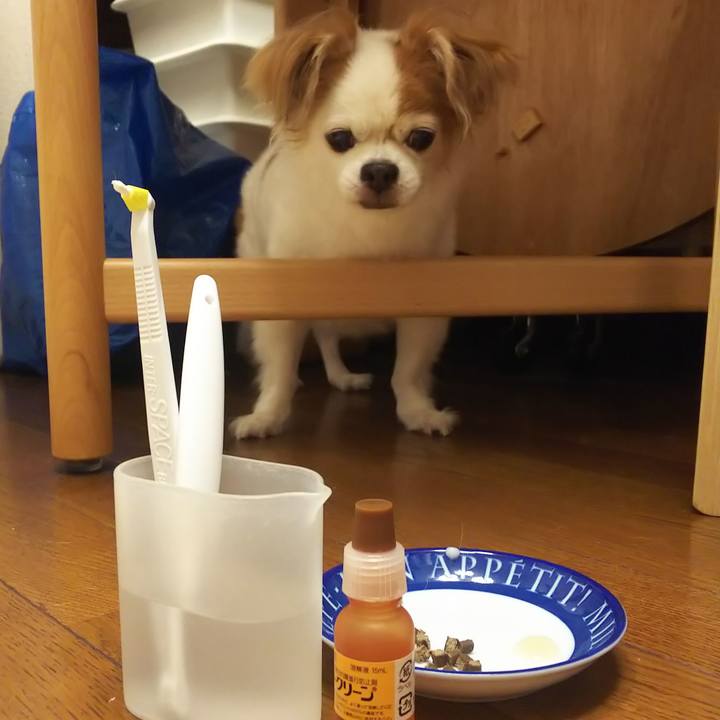 43ae1080 39fc 4a63 8d83 5a514fd2c590 1593700492465