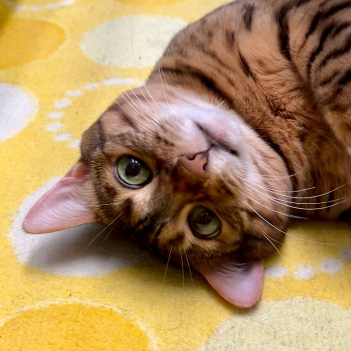 43ae133a c0cd 4347 a92f 6ce1afeed305 1669073097258