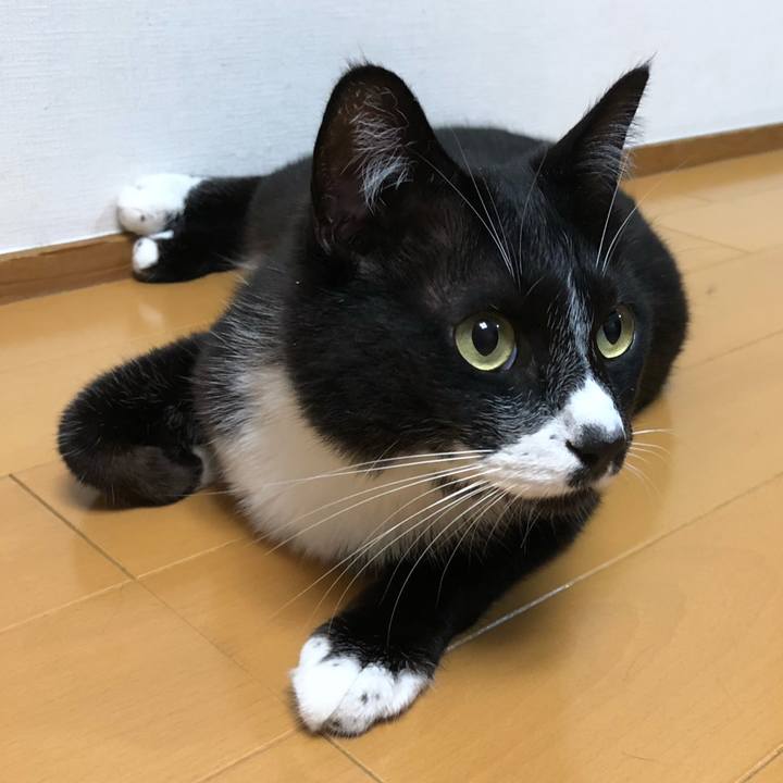 43ae1cee 30e0 441c ad3d 7a4567651bb8 1592797505021