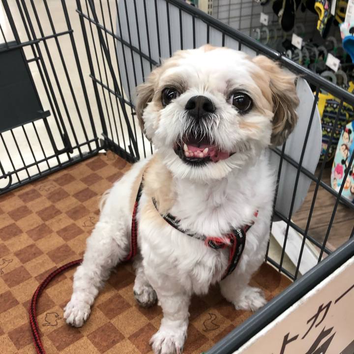 43ae376e ea7b 437e b4c9 627092708387 1566337310025