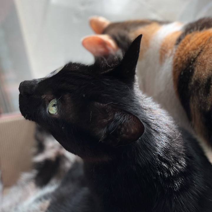 43ae37aa 7c1a 4672 a2b5 a19021c458a9 1629596827885