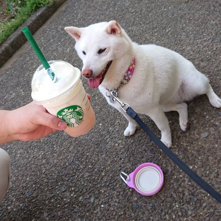 43ae3dfd dda4 40e1 891b 48e6f91b353d 1564131845597