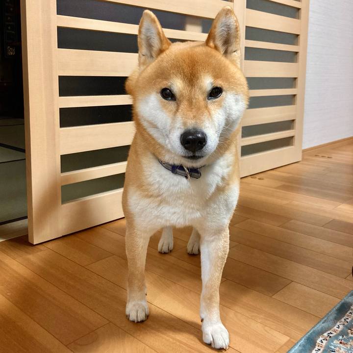 43ae46f9 40f4 4852 a7ab 6ed6e800dcfd 1677747753066