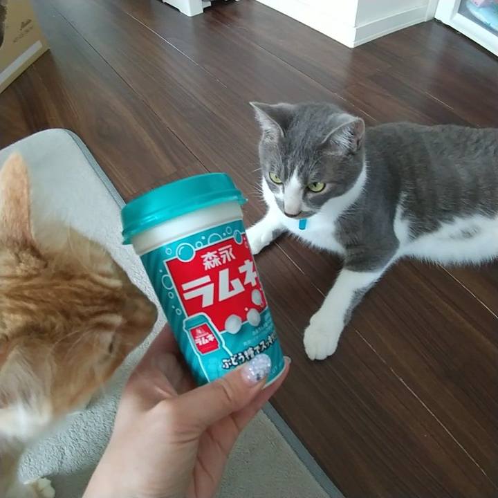 43ae82d5 c180 411d 8b8f ae3cec68c2b1 1623466820342