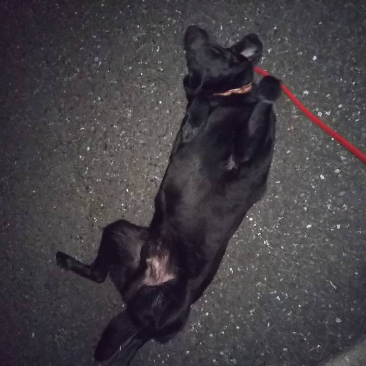 43ae99a6 bcd4 4dea 8741 862ad9daf13d 1691807961780