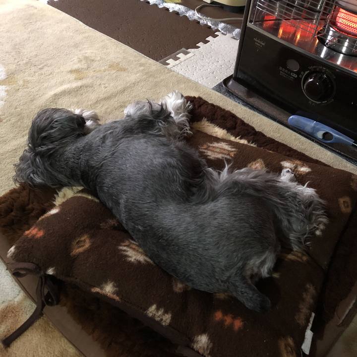 43ae9a08 a4c6 453c bd86 b7ab15b986b4 1547959760620