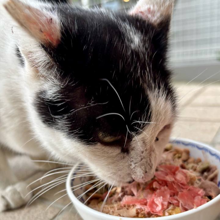 43ae9e20 d4ba 4323 b6a6 0e1906081937 1761358545429